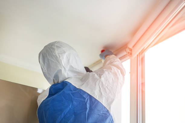 Niceville, FL Mold Removal Services Company